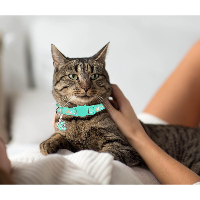 Нашийники для котів з застібкою-карабіном, регульовані, з дзвіночком, чорний + синій, 2 шт., 20,3 - 33,3 см