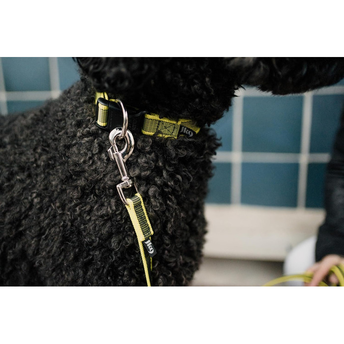 Нашийник Julius K9 200HA-K-2015 серії Color & Gray, чорно-сірий, регульований, 50 мм, 49-70 см (без ручки)