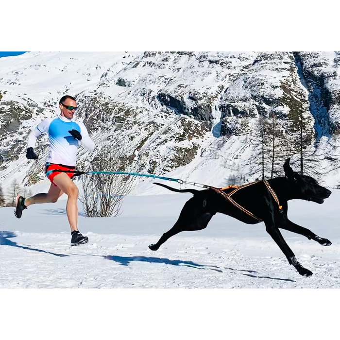 Шлея для собак I-dog Canicross X-Back One XL, для бігу з собакою