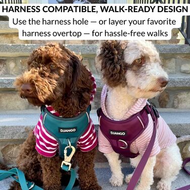 Світшот для собак Джанго, теплий, м'який, з капюшоном, для маленьких собак до 11,3 кг (Такса, цуценята), розмір S, колір: Blush Pink