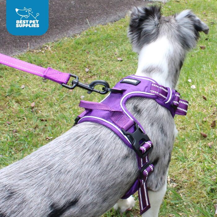 Регульована шлейка для собак Voyager Von Best Pet Supplies з 3M відбивачем, подвійним кріпленням, не тягне, фіолетова