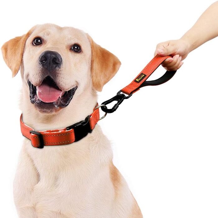 PLUTUS PET короткий повідок для собак 25,4 см, міцний з карабіном, м'яка нейлонова ручка, для великих та середніх собак, оранжевий