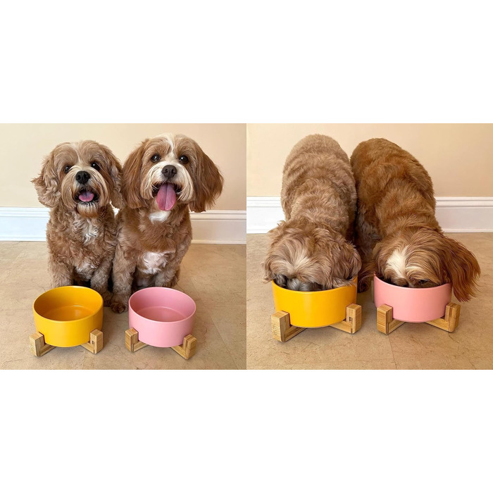 Керамічна миска Pet Wiz для собак та котів з бамбуковим підставкою, піднята миска для зручного годування, 850 мл, 5 кольорів (Морська хвиля)