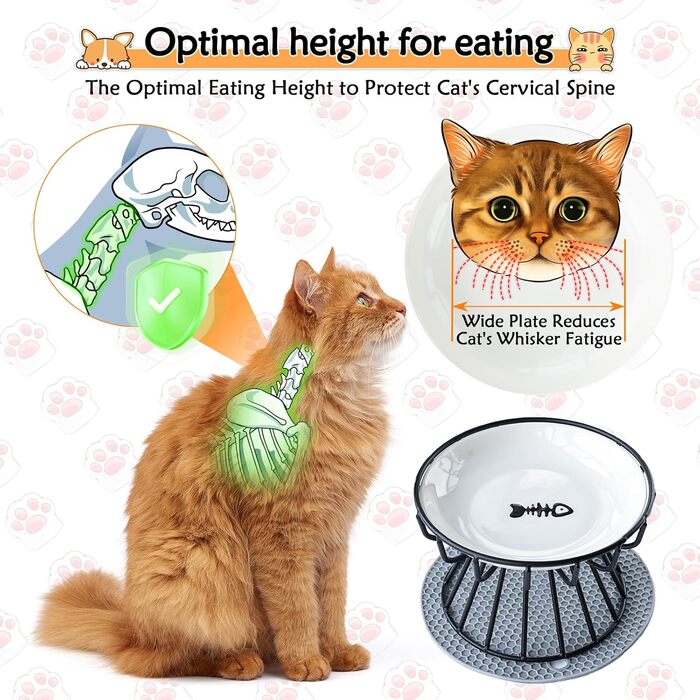 Підвищений годівниця для котів, керамічна миска з металевим підставкою, для котів, цуценят та маленьких собак, миється в посудомийній машині