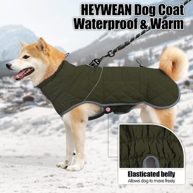 Зимовий водонепроникний теплий одяг для собак Heywean: куртка з кільцем D, флісова підкладка, одяг для собак, куртка для собак, жилет для собак, одяг для маленьких, середніх та великих собак, зелений