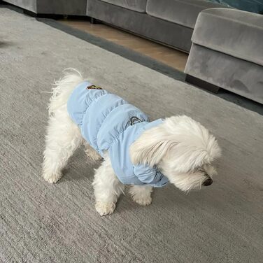 Зимовий теплий водонепроникний та вітронепроникний теплий зимовий одяг для собак з флісу (D-Ring), для малих, середніх та великих собак (Світло-блакитний, XXL)