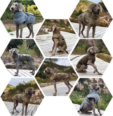 Зимовий одяг для собак середніх розмірів: тепла куртка з флісовою підкладкою, відбивачі та регульована посадка, зелена, розмір M