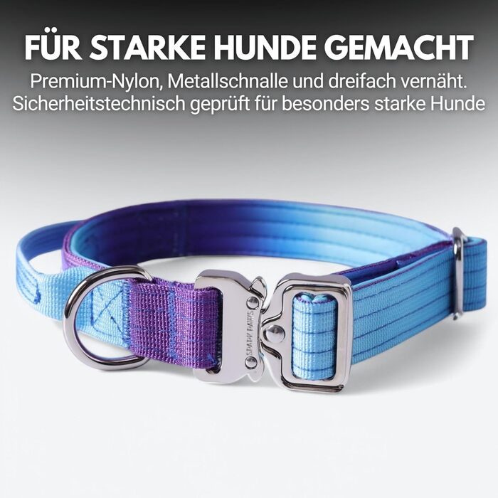 Тактичний нашийник для собак Spark Paws – міцний, преміум-якість, товстий та довговічний для великих та середніх собак. 90s Retro, XS: 9-18 кг [2.5 см]