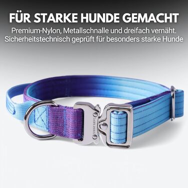 Тактичний нашийник для собак Spark Paws – міцний, преміум-якість, товстий та довговічний для великих та середніх собак. 90s Retro, XS: 9-18 кг [2.5 см]