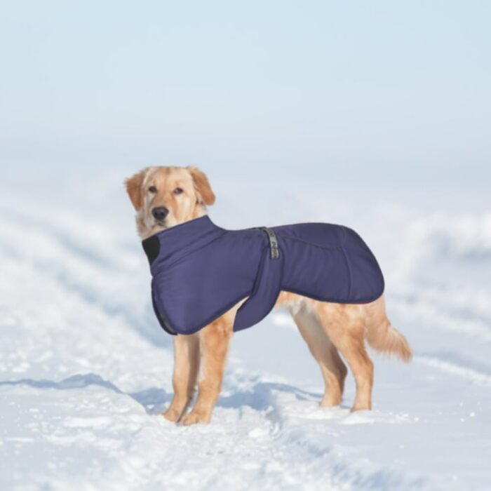 Водонепроникна тепла куртка-жилет для собак великих та середніх порід, захист від вітру, зимова, з отвором для шлейки, світловідбиваючі смуги (Морська синя, 6XL)