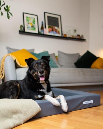 Крісло-лежанка для собак, лежанка для собак, м'яке крісло-лежанка для собак, розмір M, 90 x 70 см, білий