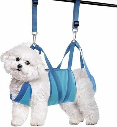 Гаммачок для грумінгу домашніх тварин LOVIVER, зручний, портативний, для маленьких собак та котів, блакитний, L