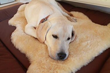 М'який лежак для собак та котів з овечої вовни Merino, 60 см. Оeko-Tex 100, німецька якість. Легко миється.