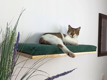 Настінна полиця для котів Cat's Atelier Cozy Nook, 60x37x6 см, натуральна