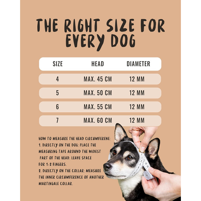 Нашийник для собак Rudelkönig Emma - Елегантний нашийник-стоп для собак з шкіри та нейлону - ø 12 мм - Зручний навчальний нашийник для великих собак (6, Чорний)