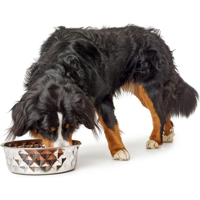 Миска для тварин Hunter Namy 3800 мл, нержавіюча сталь, срібляста