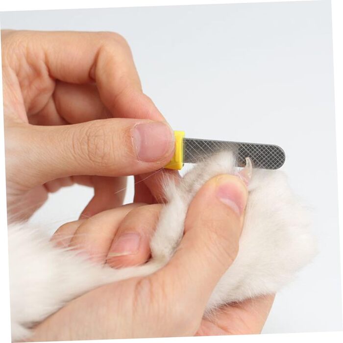 Тримач для стрижки кігтів для собак та котів BESPORTBLE з LED-підсвічуванням (3 шт.)