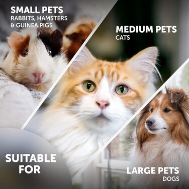 Електричний напільниковий верстат для нігтів WAHL - для догляду за домашніми тваринами