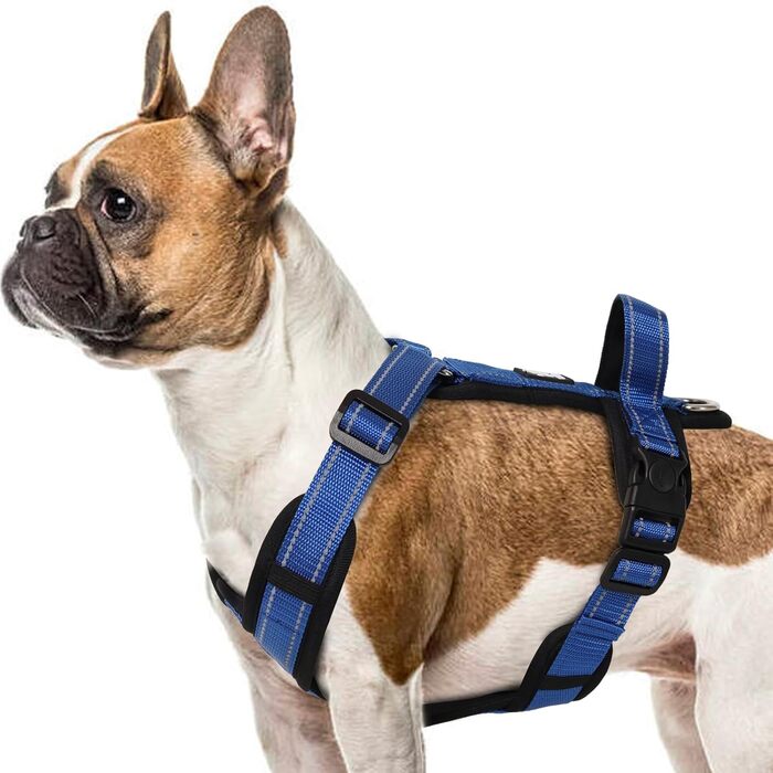 Шлейка для собак середнього розміру, світловідбиваюча, анти-тяга, з м'якою підкладкою та ручкою, для собак та цуценят (S, блакитна)