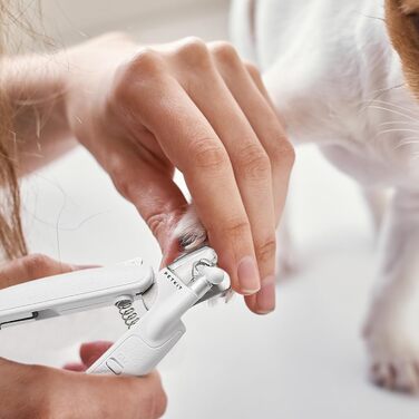 Триммер для обрізання кігтів собак і котів з LED-підсвічуванням | Професійний інструмент для догляду за тваринами