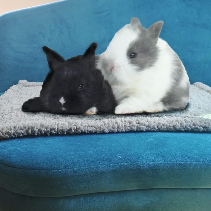 М'яка тепла флісова ковдра для собак та котів, 100 x 120 см, машинного прання (Сірий)