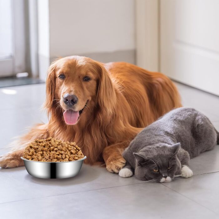 Набір мисок для котів з нержавіючої сталі, 3 шт. Підвищені миски для котів, цуценят та тварин, миски для корму та води