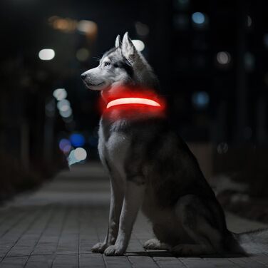 Світловідбиваючий нашийник для собак ASBRILL з LED-підсвічуванням, USB-C, водонепроникний, регульований, 3 режими світла, для собак малого, середнього та великого розміру (L, ЧЕРВОНИЙ)