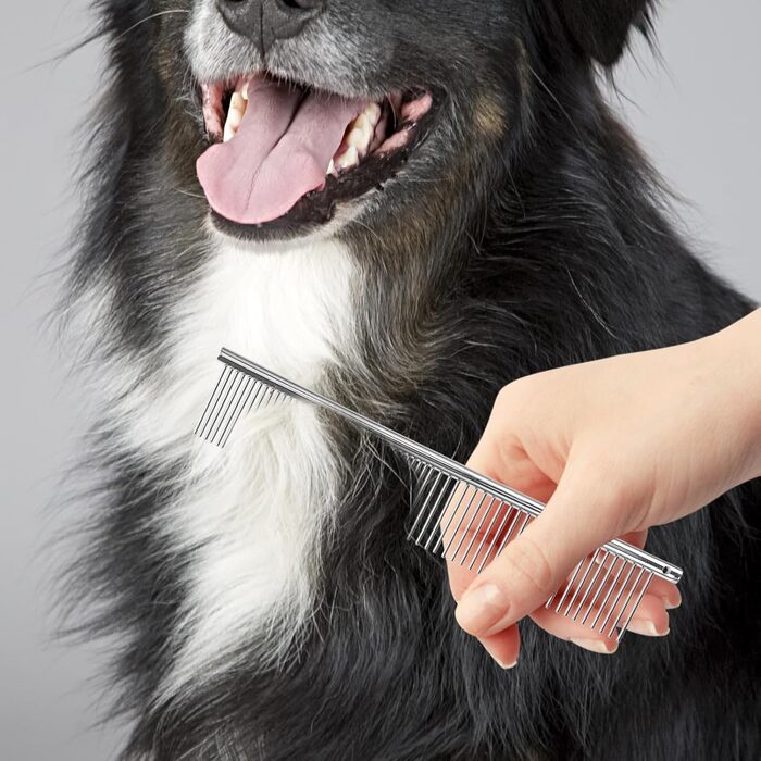 Професійні ножиці для грумінгу собак та котів BESPORTBLE - ножиці з нержавіючої сталі для догляду за домашніми тваринами