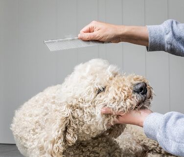 Набір для догляду за шерстю собак та цуценят Mikki: гребінець зі сталі та щітка Slicker з жорстким ворсом. Підходить для порід: пуделів, кокапу, лабрадуділів, кавапу, мальтипу та голден дуділів.