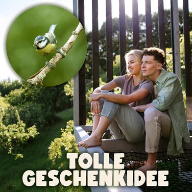 Швейцарський годівничка для птахів SWISSINNO Davos SMART – годівниця з піддоном, антиратонна, для саду та балкону, сірий колір