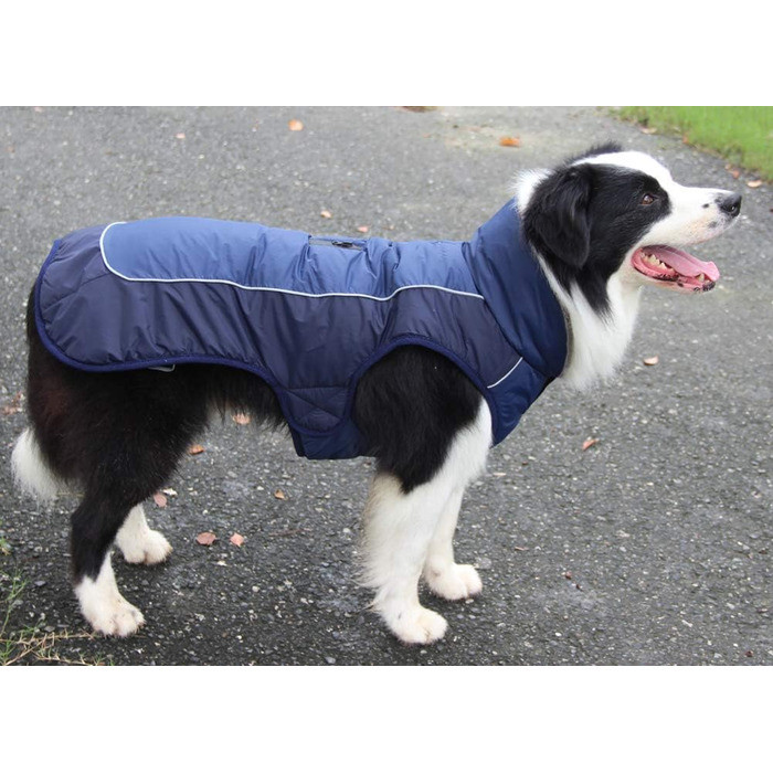 Флісова нашийникова стрічка JoyDaog для собак середніх порід, водонепроникна куртка для собак з бавовняної тканини для холодної зими (XL, Синій)