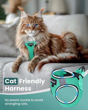 Шлейка для кота FAYOGOO анти-вислизання з повідком, шлейка для кота безпечна та регульована, повід для кота з світловідбиваючими смугами для безпеки та комфорту вночі, M (зелений, XL (1 шт.))
