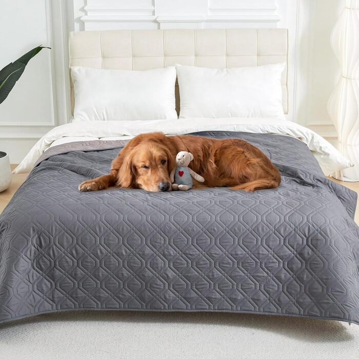 Водонепроникний килимок для собак Dokeno - двосторонній, м'який, для великих та маленьких собак/кішок, захист для дивану, ліжка та авто, придатний для прання (132 x 213 см)