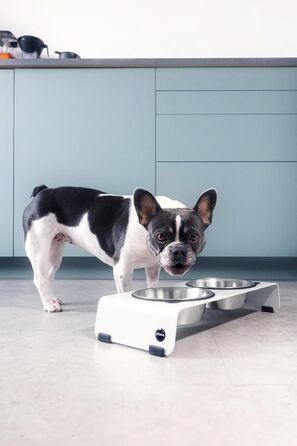 Підвищена годівниця для собак Jaska ARC з нержавіючої сталі та сталі (білий, S)