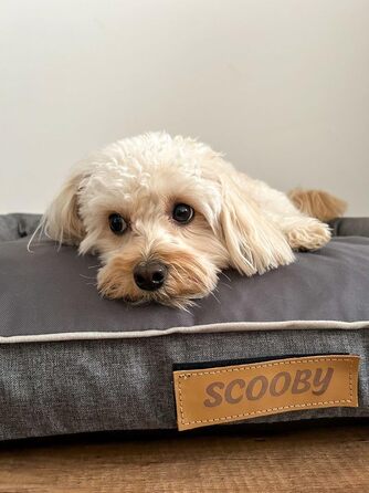 Персоналізоване собаче ліжко XL - для великих, середніх собак - подушка, корзинка для собак - килимок для собак з гравіюванням імені (Сірий, L 100 x B 65 x H 17 см)