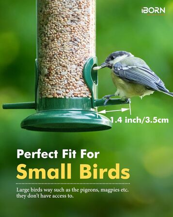 iBorn годівниця для птахів на підвіску, зелена, 2 шт. - металева, стійка до іржі, 20 см