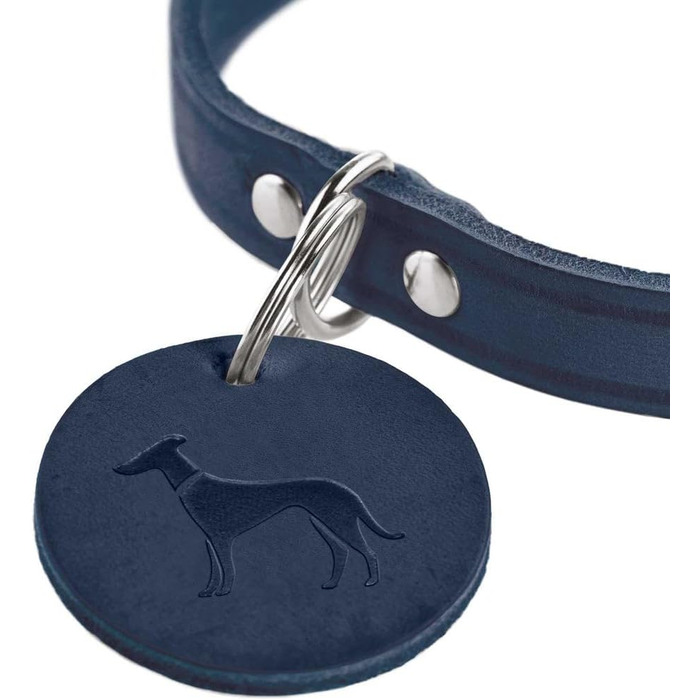 Нашийник для собак HUNTER AALBORG, колір: коньяк, міцне шкіряне обплетення, ідеальний для спорту та повсякденного використання, з шкіряним брелоком, Made in Germany, розмір 37 коньяк 37