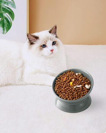 Підвищений годівниця для котів LoeJan, 142 мл, кераміка, анти-блювотна, для захисту хребта, підходить для котів, маленьких собак та кошенят, сірий колір, 1 шт.