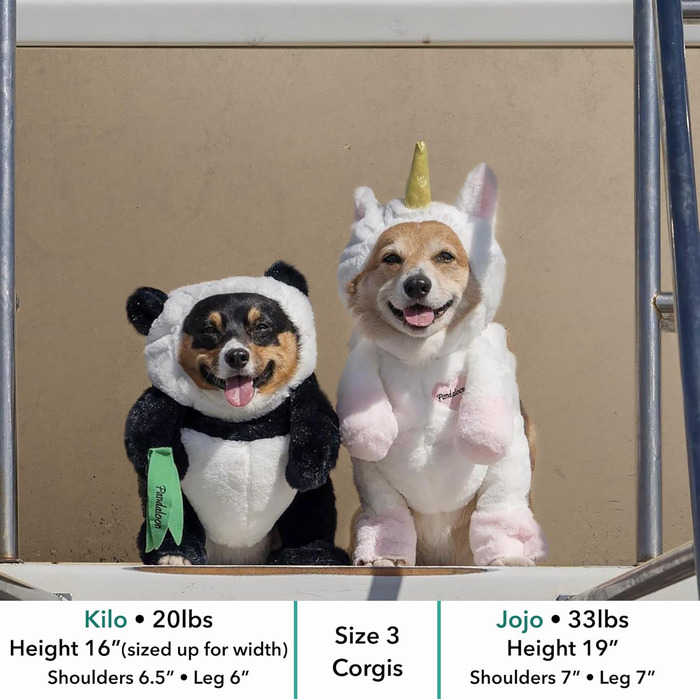 Костюм на Хелловін для собак Pandaloon, панда, розмір 4 (50,8–58,4 см), з руками