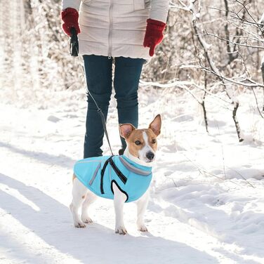 Теплий зимовий одяг для собак FeimaX: флісова куртка з блискавкою, захист від вітру та вологи, для маленьких та середніх собак (Блакитний, L)