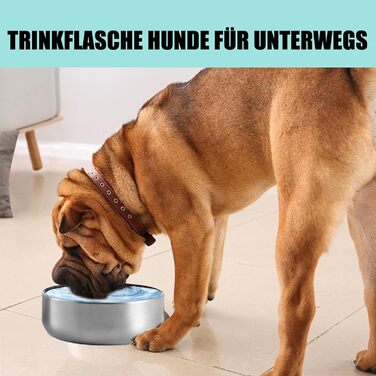 Поїлка для собак на прогулянці 950 мл – ізольована сталева поїлка з мискою для їжі та води, портативна, BPA-free, для подорожей, прогулянок та активного відпочинку (Світло-блакитний, L)