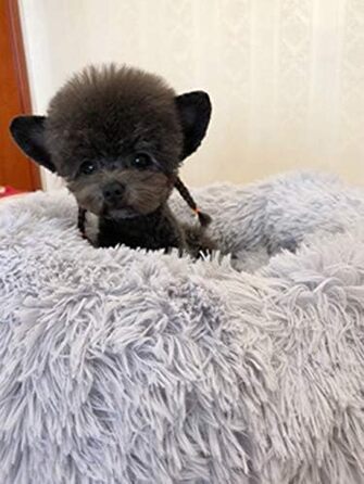 М'яке ортопедичне ліжко для домашніх тварин для собак та котів, ліжко-гніздо у формі пончика, для собак маленьких, середніх та великих порід, 60*60*20 см (70*70*20 см, сірий)