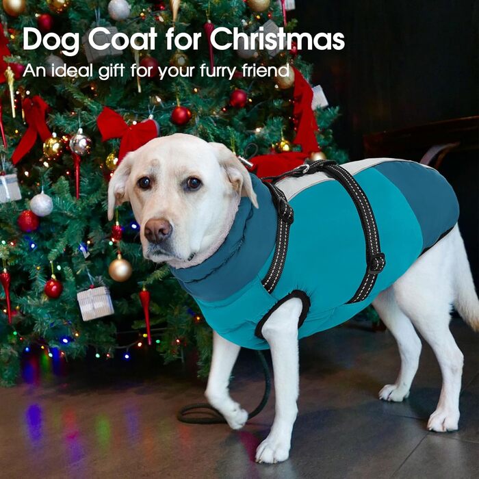 Теплий зимовий одяг для собак SUNFURA: водонепроникна куртка з інтегрованим шлейкою, флісова підкладка, для маленьких собак (чіхуахуа, мальтізер), XS, великий розмір, блакитний колір, модель Getaway Solids