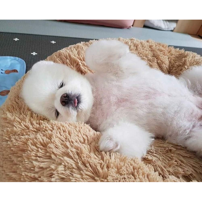 Розкішне собаче ліжко з м'якого хутра, машинне прання, самонагріваюче, з м'яким подуванням для середніх та великих собак та котів (XXXL: 120 см, світло-коричневе)