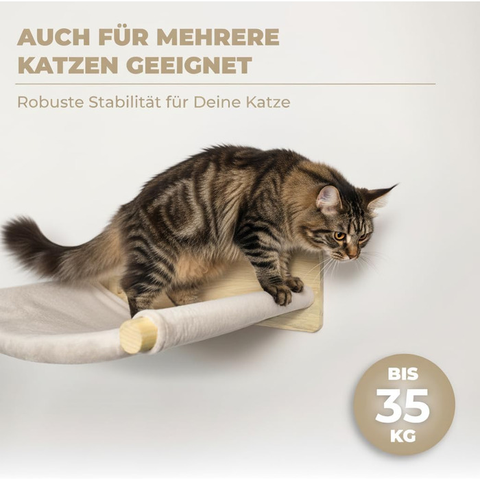 WOOWOOD® Комплект для лазіння котів - 5 частин, з масиву дерева - стіна для котів, драбина, гамак, крізьбард, меблі для котів