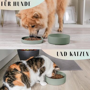 Силіконовий миска для собак ne&no® 1200 мл з кришкою | для маленьких та середніх собак | герметична, нековзна, набір sage green