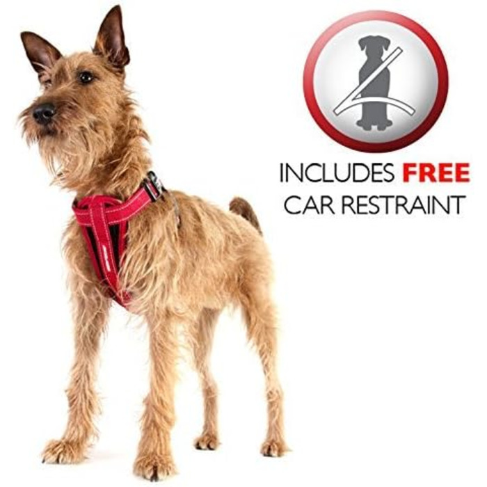 Шлейка для собак EzyDog Chest Plate – безпечна шлейка з адаптером для пасків безпеки – світловідбиваюча, з м'якою підкладкою для собак малих, середніх та великих порід (XS, Чорний)