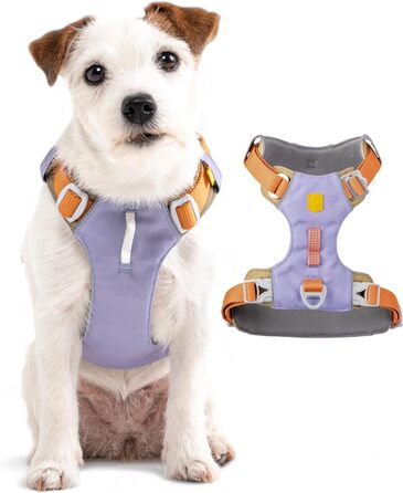 Шлейка для собак Woolly Wolf Alpha 360 XS, лавандово-фіолетовий мікс, 100% перероблений поліестер, регульована, легка, для маленьких собак