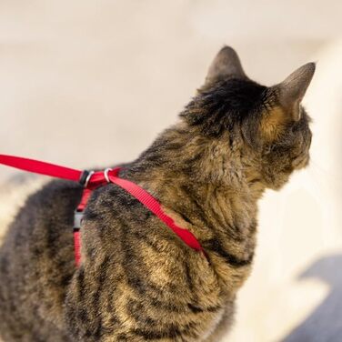 Шлейка для котів PetSafe Easy Walk, червона, розмір M, для прогулянок