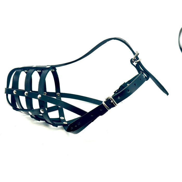 Шкіряна нашоломка для Бультер'єрів та собак з короткою мордою L&J Pets (BT0, Natural)